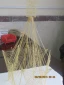کسب مقام پنجمی