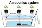 هواکشت (Aearoponic) 2