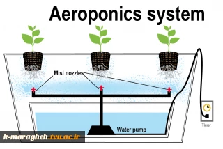 هواکشت (Aearoponic)