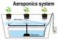 هواکشت (Aearoponic)
