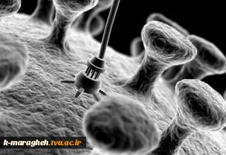 کاربرد نانوتکنولوژی در علوم دامی