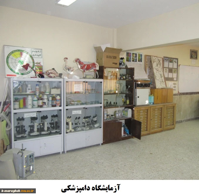 آزمایشگاه دامپزشکی