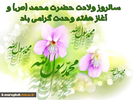 هفته وحدت گرامی باد 4