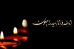 پیام تسلیت ریاست مرکز به مناسبت درگذشت مریم میرزا خانی 2