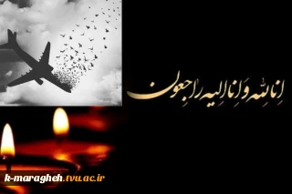 ابراز همدردی و تسلیت کارکنان در پی سقوط هواپیمای مسافربری یاسوج