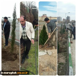 به مناسبت هفته درختکاری