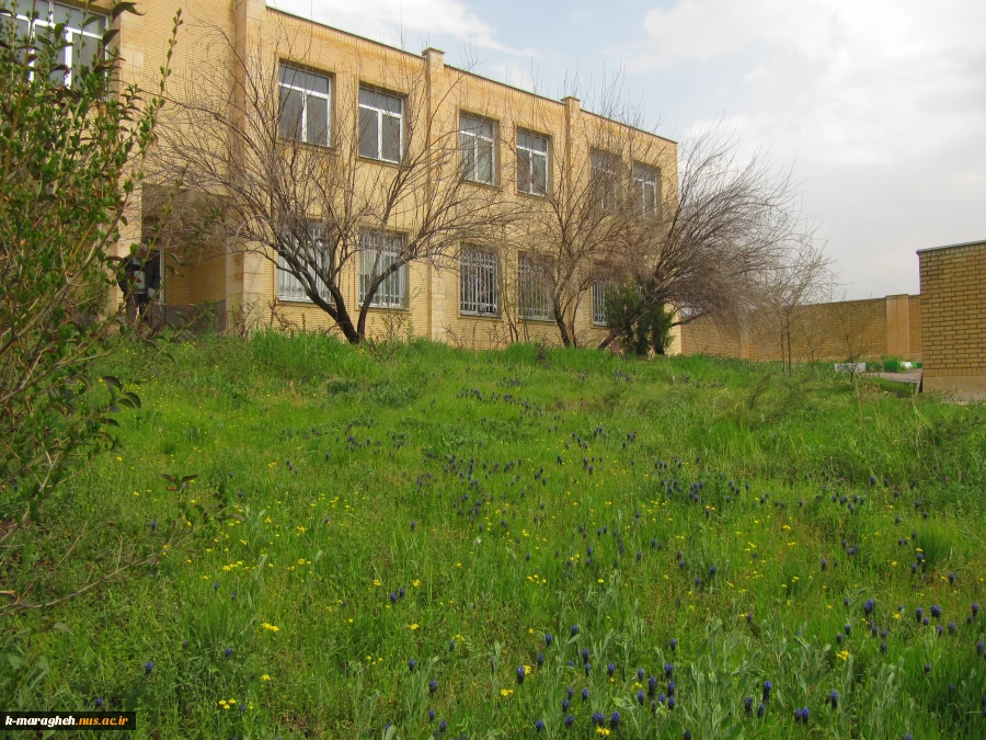بهار 98 در آموزشکده 3