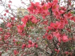 بهار 98 در آموزشکده 6