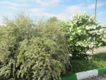 بهار 98 در آموزشکده 11
