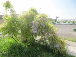 بهار 98 در آموزشکده 12