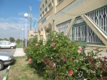 بهار 98 در آموزشکده 8