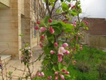 بهار 98 در آموزشکده 11