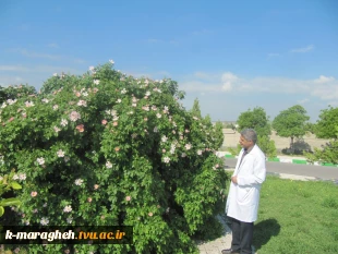 بهار 98 در آموزشکده 12