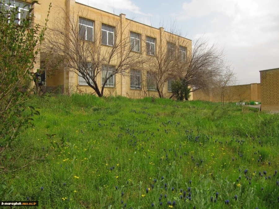 بهار 98 در آموزشکده 14