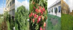 بهار 98 در آموزشکده 16