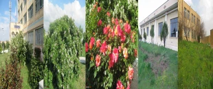 بهار 98 در آموزشکده 16
