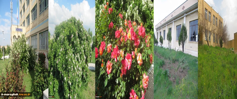 بهار 98 در آموزشکده 16