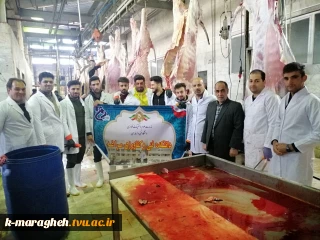 بازدید علمی دانشجویان رشته مهندسی تولیدات دامی دانشکده از کشتارگاه صنعتی دام