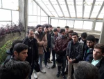 بازدید جمعی از دانشجویان رشته امور باغی از گلخانه هنرستان کشاورزی مراغه 4