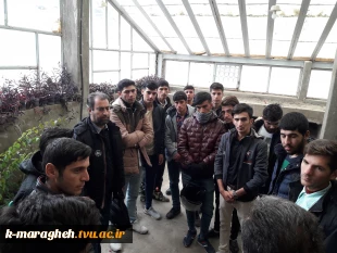 بازدید جمعی از دانشجویان رشته امور باغی از گلخانه هنرستان کشاورزی مراغه 4