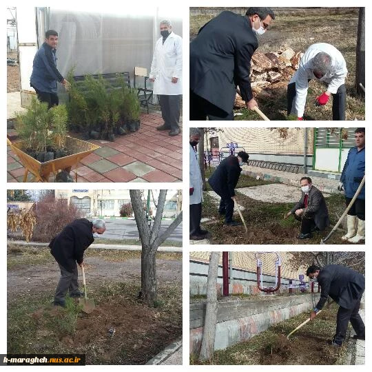 کاشت 85اصله نهال بمناسبت هفته درختکاری در دانشکده فنی و کشاورزی مراغه 2