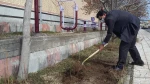 کاشت 85اصله نهال بمناسبت هفته درختکاری در دانشکده فنی و کشاورزی مراغه 3