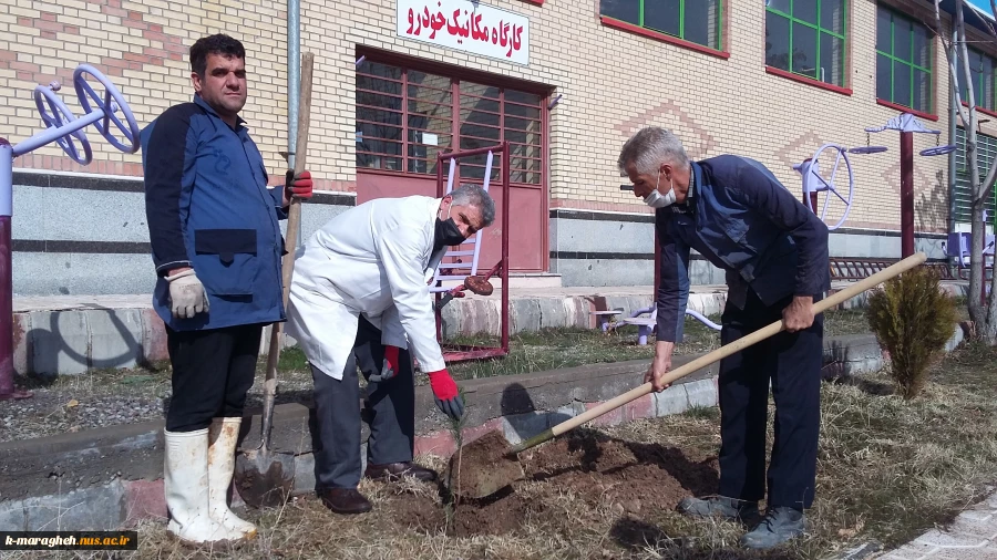 کاشت 85اصله نهال بمناسبت هفته درختکاری در دانشکده فنی و کشاورزی مراغه 8