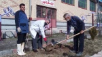 آغاز مراسم غرس 100 اصله نهال بمناسبت هفته درختکاری در دانشکده فنی و کشاورزی مراغه 6