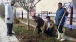 آغاز مراسم غرس 100 اصله نهال بمناسبت هفته درختکاری در دانشکده فنی و کشاورزی مراغه 9