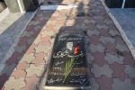 آیین غبارروبی و گل افشانی مزار شهدای انقلاب اسلامی با حضور جمعی از همکاران دانشکده فنی و کشاورزی مراغه 5