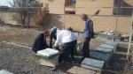 آغاز برداشت عسل از کندوهای واحد زنبورداری آموزشکده فنی و کشاورزی مراغه 2