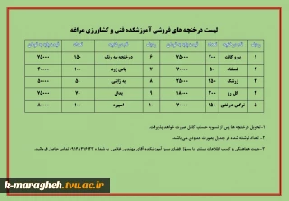 فروش درختچه های زینتی در آموزشکده فنی و کشاورزی مراغه