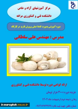دوره آموزشی پرورش قارچ در کارگاه دانشکده فنی و کشاورزی مراغه