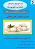 دوره آموزشی پرورش قارچ در کارگاه دانشکده فنی و کشاورزی مراغه 2