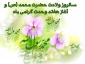 هفته وحدت گرامی باد