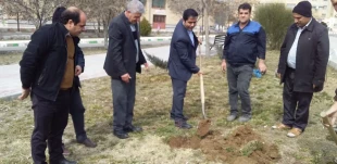 به مناسبت روز درختکاری 2