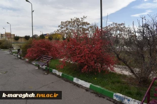 بهار در دانشکده فنی و کشاورزی مراغه 3