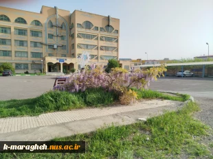 آموزشکده در آغوش طبیعت؛ شکوفایی گل‌ها و درختچه‌ها در فضای علمی 2