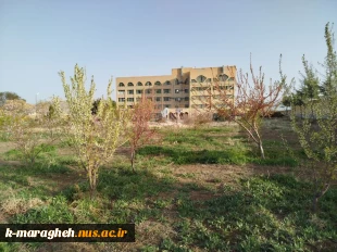 آموزشکده در آغوش طبیعت؛ شکوفایی گل‌ها و درختچه‌ها در فضای علمی 11