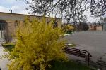 فضای علمی؛ آراسته به زیبایی طبیعت: چشم‌انداز آموزشکده 3