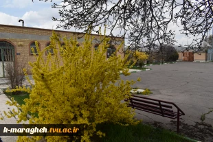 فضای علمی؛ آراسته به زیبایی طبیعت: چشم‌انداز آموزشکده 3