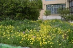 فضای علمی؛ آراسته به زیبایی طبیعت: چشم‌انداز آموزشکده 4