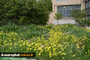 فضای علمی؛ آراسته به زیبایی طبیعت: چشم‌انداز آموزشکده 4