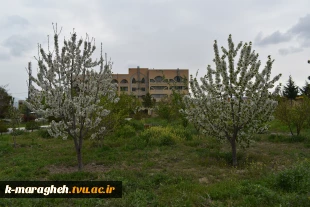 فضای علمی؛ آراسته به زیبایی طبیعت: چشم‌انداز آموزشکده 6