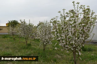 فضای علمی؛ آراسته به زیبایی طبیعت: چشم‌انداز آموزشکده 7