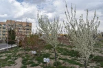 فضای علمی؛ آراسته به زیبایی طبیعت: چشم‌انداز آموزشکده 10