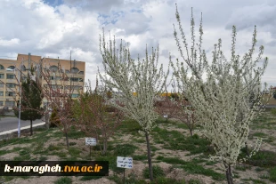 فضای علمی؛ آراسته به زیبایی طبیعت: چشم‌انداز آموزشکده 10