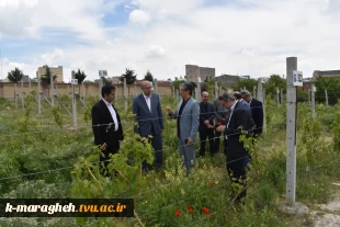 بازدید معاونت آموزشی دانشگاه ملی مهارت کشور و ریاست دانشگاه ملی مهارت استان آذربایجان شرقی و معاونت آموزشی و پژوهشی واحد استانی از آموزشکده ملی مهارت واحد مراغه 9